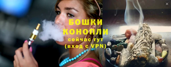тгк Лагань