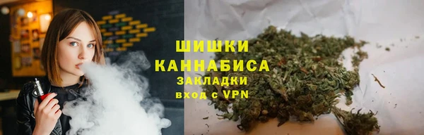 тгк Лагань
