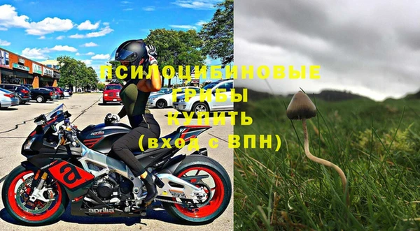 тгк Лагань
