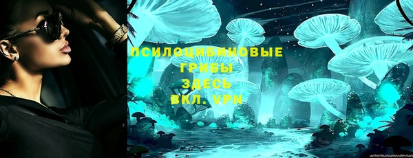 тгк Лагань