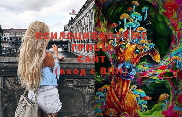 тгк Лагань